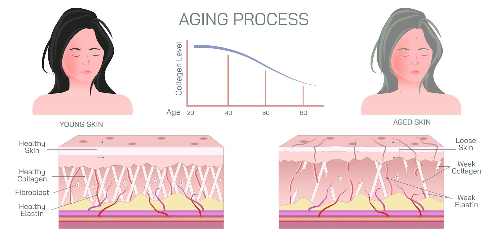 Collagen Banking Aesthetic Treatments | Bay Aesthetic